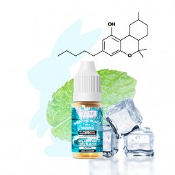 E-liquid HHC Iced Mint 10ml - White Rabbit