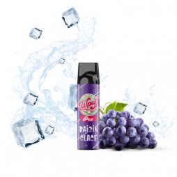 Cartouche Wpuff Pod Raisin Glacé 2ml - Wpuff by Liquidéo