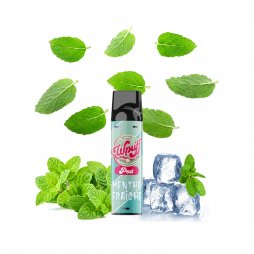 Cartouche Wpuff Pod Menthe Fraîche 2ml - Wpuff by Liquidéo