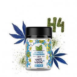 White Widow 30% Fleur H4CBD (5g) - Greeneo