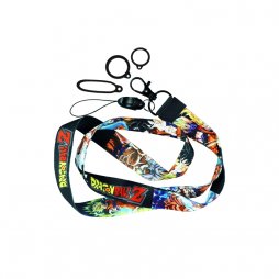 Lanyard