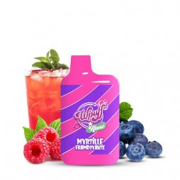 Puff Nano Myrtille Framboyante - Wpuff by Liquidéo