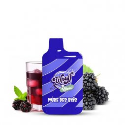 Puff Nano Mûres Des Bois - Wpuff by Liquidéo