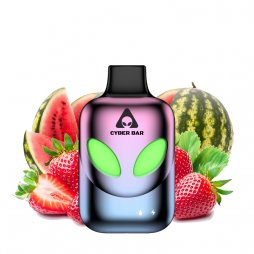 Puff AL8000 Strawberry Watermelon 0mg 10ml - Cyber Bar