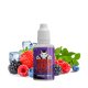 Saveur Concentrate Attraction Vampire Vape 30ml