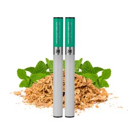 300 Puff Stick Tobacco Mint 20mg 1ml - Mosmo