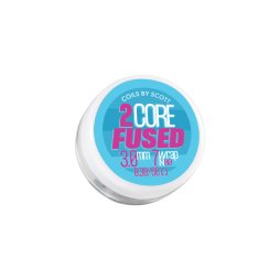 Fused Clapton 0.30Ω Ni80 (2pcs) - Coils by Scott