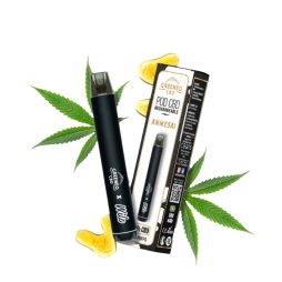 Pod Rechargeable Amnesia - Wilo x Greeneo