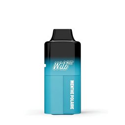 Puff Wilo Max Menthe Polaire - Wilo