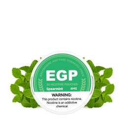 Pouch Spearmint 6/9/14mg (20pcs) - EGP