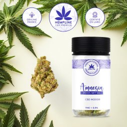 Amnésia de CBD (12g) - Hempline