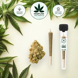 Pre-roll Skunk (1g) - Hempline