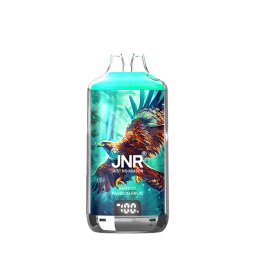 28000 Puff Falcon-X Mango Passion Fruit - JNR