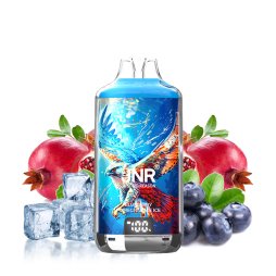 28000 Puff Falcon-X Blueberry Pomegranate Ice - JNR