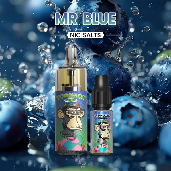 10000 Puff Mr Blue 10ml - Tornado by Gobar