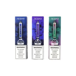 [Sample] Rebar 600 Puffs (Saveur Aléatoire) (1pcs)