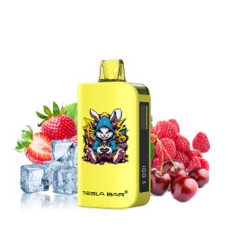 Puff ST-10 000 - Tesla Bar by Teslacigs