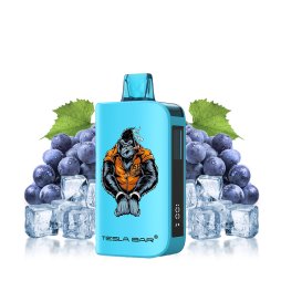 Puff ST-10 000 - Tesla Bar by Teslacigs