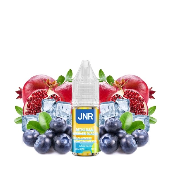 Blueberry Pomegranate Ice Nic Salt 20mg 10ml - JNR