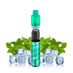 Starter Kit 15000 Puffs - Wpuff Fusion by Liquideo