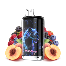Kong Max Peach Berry 30K Capacité 20ml/2% - Gobar