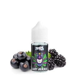 Concentrate Cozy Berrie 30ml - Tribal Force
