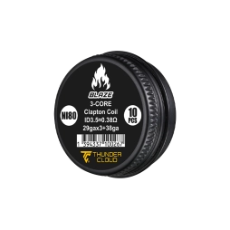 Fused Clapton Coils Ni80 0.38Ω (10pcs) - Thunder Cloud x Mike Vapes