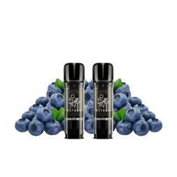 Cartouches Pré-Remplies Elfa Pro 20mg 2ml (2pcs) - Elfbar