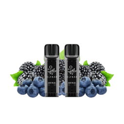 Pre-Filled Cartridges Elfa Pro 20mg 2ml (2pcs) - Elfbar