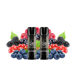 Cartouches Pré-Remplies Elfa Pro 20mg 2ml (2pcs) - Elfbar