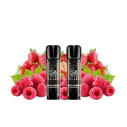 Pre-Filled Cartridges Elfa Pro 20mg 2ml (2pcs) - Elfbar