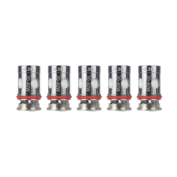 Résistances TMD Pro 1.05Ω - BP mods