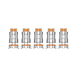 Résistances B Boost Series 0.2/0.3/0.4/0.6Ω (5pcs) - GeekVape