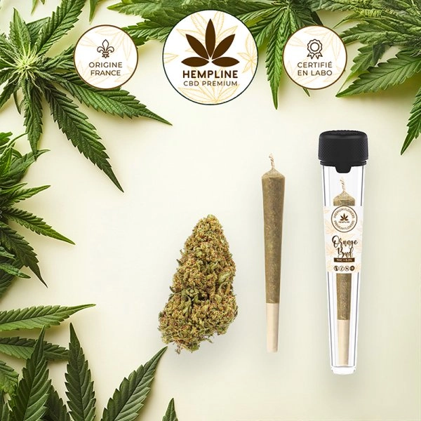 [Sample] Orange Buds Pre-roll (1g) - Hempline