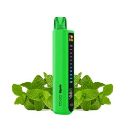 Starter Kit Vapilo 800Puffs 20mg - Voom