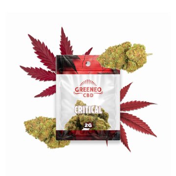 Fleur de CBD Critical (2g) - Greeneo