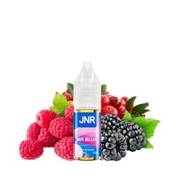 Mr Blue Nic Salt 20mg 10ml - JNR