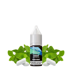 Gum Mint Nic Salt 20mg 10ml - Al Fakher
