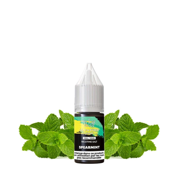 Spearmint Nic Salt 20mg 10ml - Al Fakher