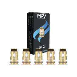 Résistances Serie B 0.2/0.3/0.4/0.6/1.2Ω (5pcs) - MPV