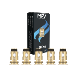 Résistances Serie B 0.2/0.3/0.4/0.6/1.2Ω (5pcs) - MPV