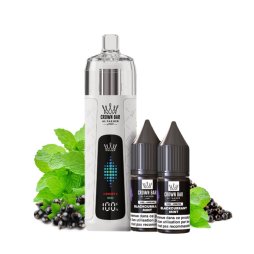 refill_pro_03_blackcurrant_ice