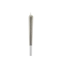 Pre-roll CBD Amnesia (1pc) - Jerycan