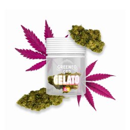 Gelato CBD Flower (2g) - Greeneo