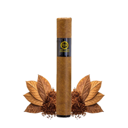 Gift Set XO Eminence 500mAh 2ml / 2% - XO Havana