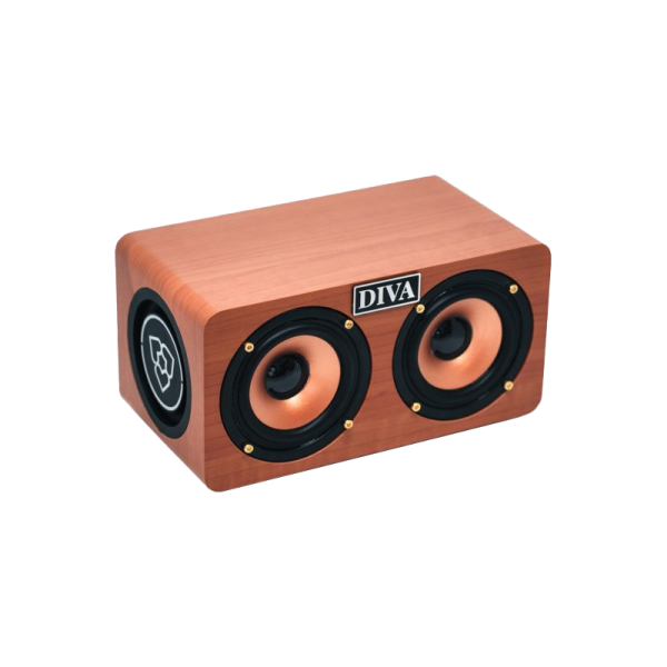 Enceinte Bluetooth Portable S1 - Diva