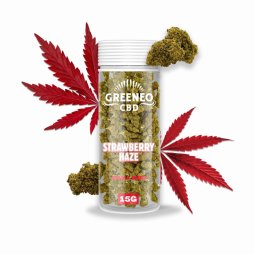 Strawberry Haze Fleur de CBD (15g) - Greeneo