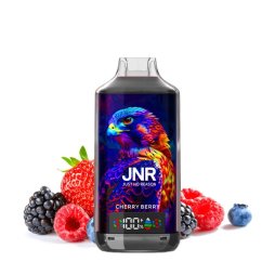 Falcon 18K 950mAh 24ml/2% - JNR