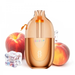 Lila Kiss 46k+ + 2 E-liquides 1000mAh 20ml / 2% - JNR