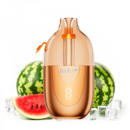 Lila Kiss 46k+ + 2 E-liquides 1000mAh 20ml / 2% - JNR